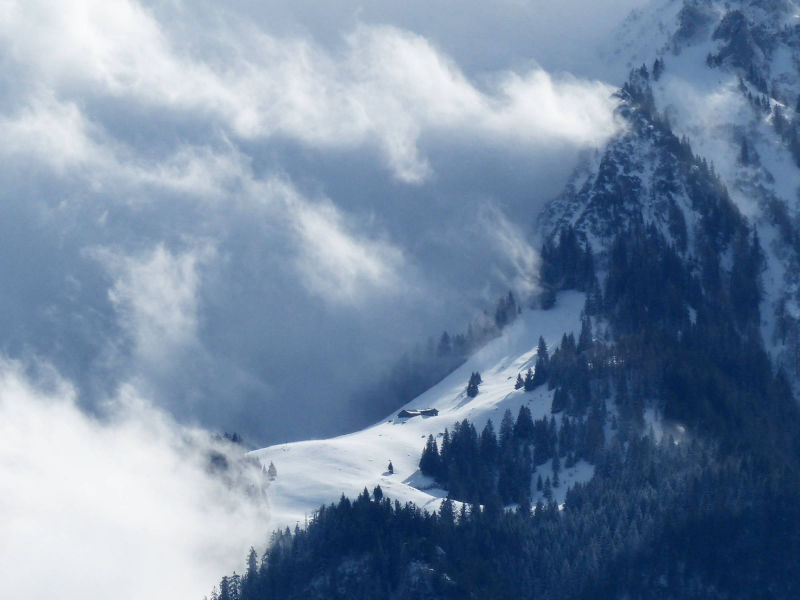 Snow covered Mountain, Austria | Yvanne Teo